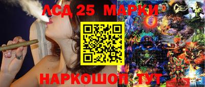 apvp Гатчина