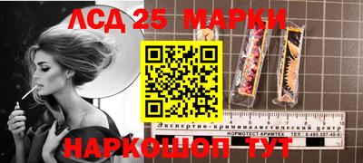 apvp Гатчина