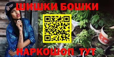apvp Гатчина