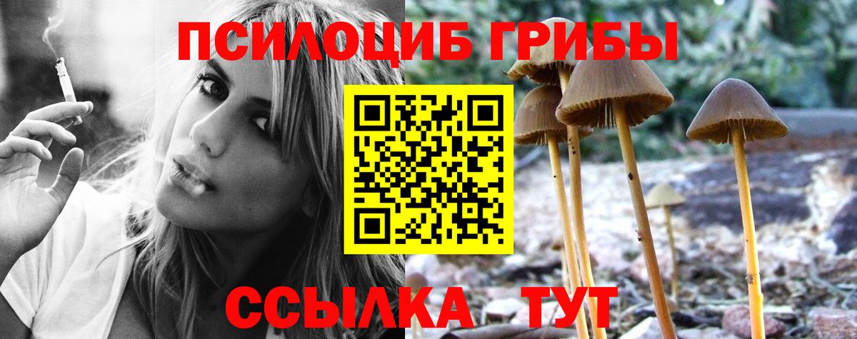 Евпатория  Псилоцибиновые грибы мицелий  Вход с VPN 