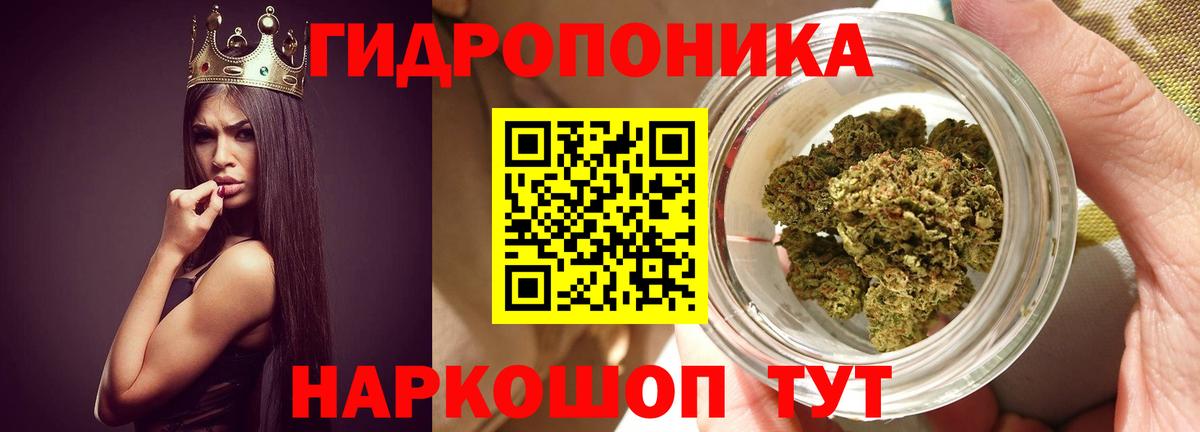 Бошки Шишки сатива Евпатория
